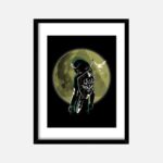 cadre legende de zelda