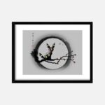 cadre noctali pokemon