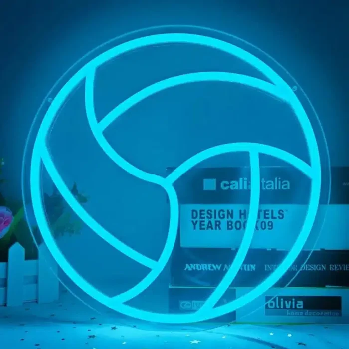 Neon Ballon Volleyball