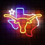 Neon Texas