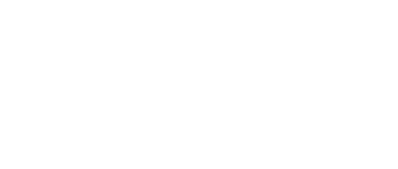 disney logo tenue de festival